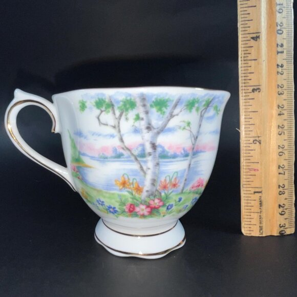 Royal Albert Silver Birch Tea Cup & Saucer Bone China Made in England - Picture 10 of 10